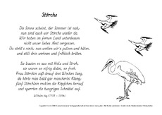 M-Störche-Hey.pdf